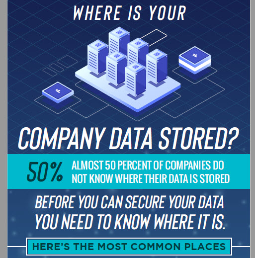 Secure Company Data From Cyber Crime